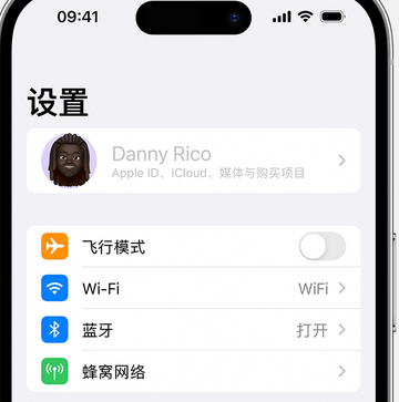 堆龙德庆appleID维修服务iPhone设置中Apple ID显示为灰色无法使用 