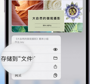 堆龙德庆apple维修中心分享iPhone文件应用中存储和找到下载文件