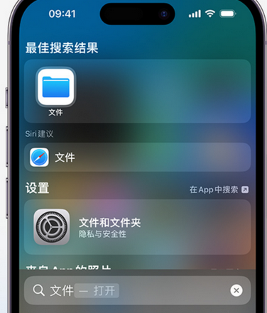 堆龙德庆apple维修中心分享iPhone文件应用中存储和找到下载文件 