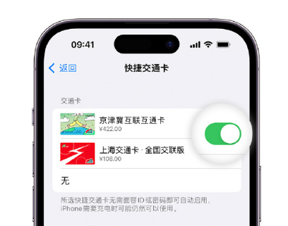 堆龙德庆apple维修点分享iPhone上更换Apple Pay快捷交通卡手绘卡面 