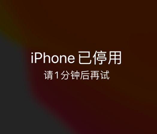 堆龙德庆苹果手机维修分享:iPhone 显示“不可用”或“已停用”怎么办？还能保留数据吗？ 