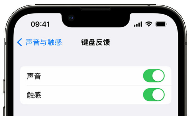 堆龙德庆苹果手机维修分享iPhone 14触感键盘使用方法 