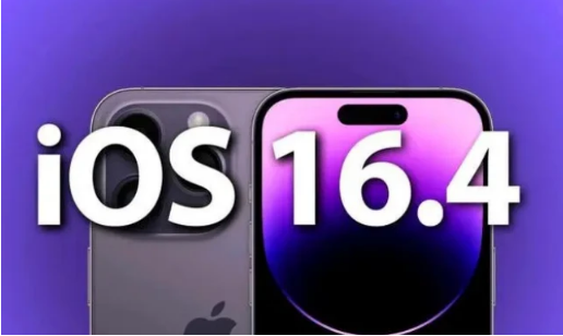 堆龙德庆苹果14维修分享：iPhone14可以升级iOS16.4beta2吗？ 