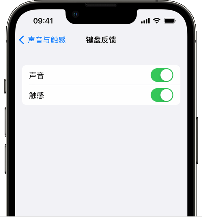 堆龙德庆苹果14维修店分享如何在 iPhone 14 机型中使用触感键盘 