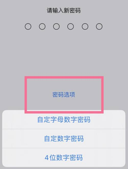 堆龙德庆苹果14维修分享iPhone 14plus设置密码的方法 