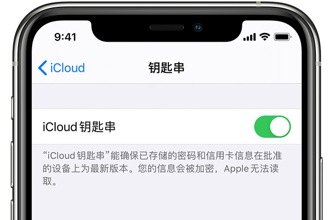 堆龙德庆苹果手机维修分享在 iPhone 上开启 iCloud 钥匙串之后会储存哪些信息 