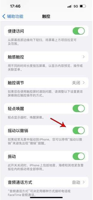 堆龙德庆苹果手机维修分享iPhone手机如何设置摇一摇删除文字 